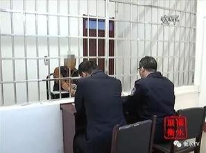 河北安平县爆料案件最新,案情最新进展及社会关注焦点  第3张